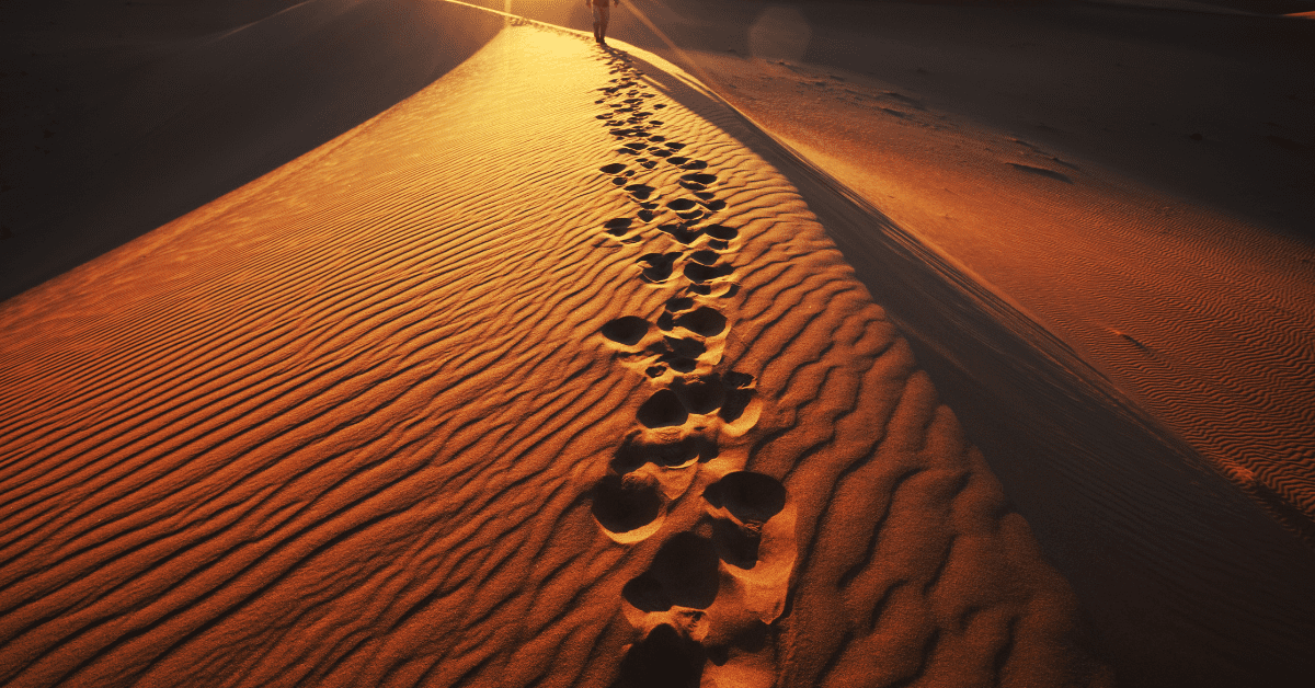 A jornada é dura, mas cada passo é um aprendizado