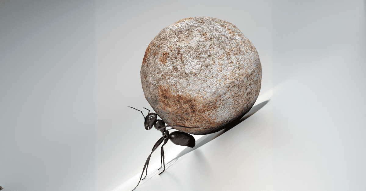 frases do rock balboa