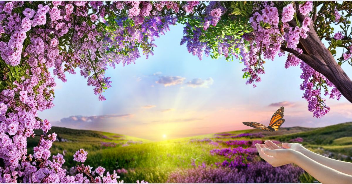 Flores que Inspiram: Renove Sua Vida Nesta Primavera